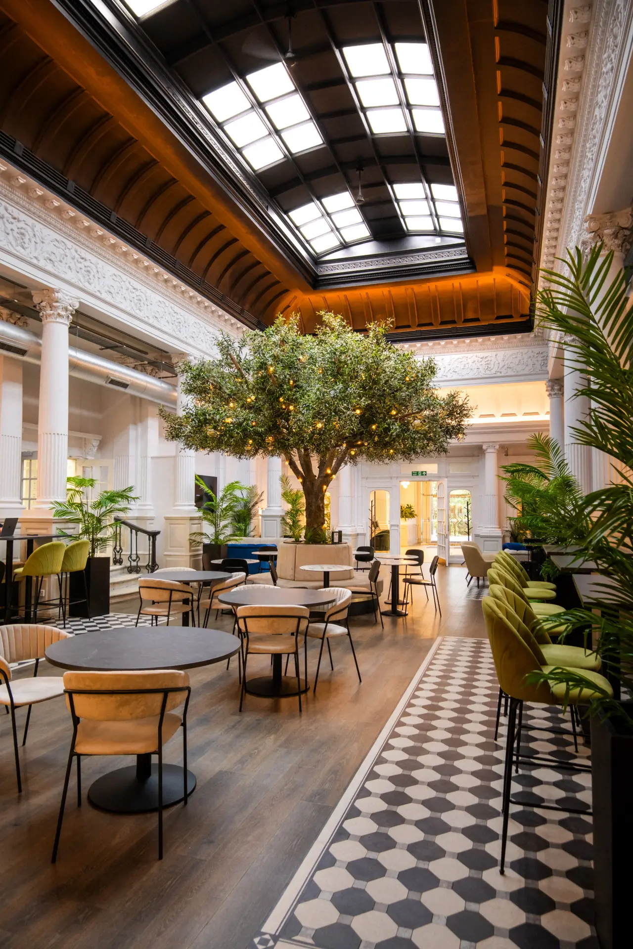 The Palm Court Cafe at Windsor House, Harrogate — a light, glass-roofed room with an olive tree, marble tables and period plasterwork
